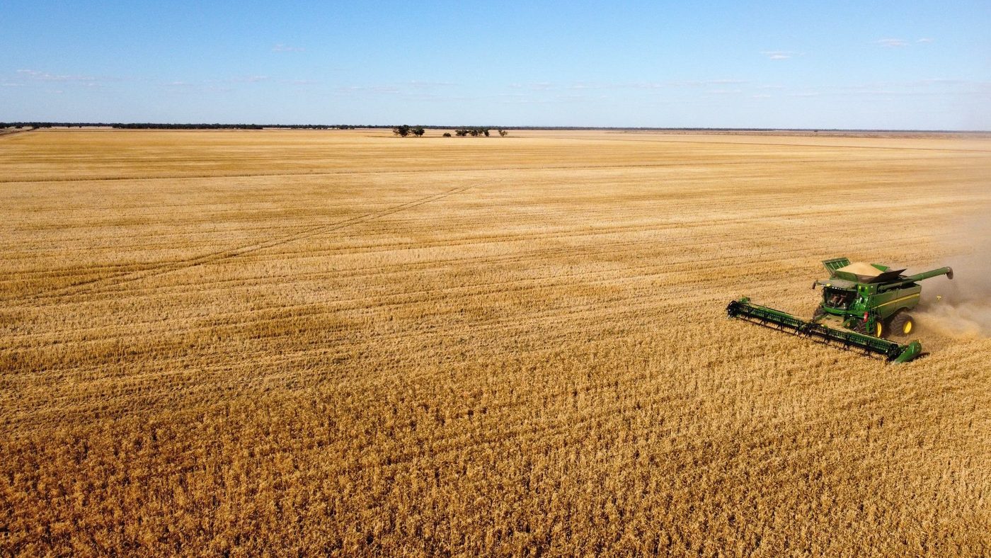 Harvester working a wheat field